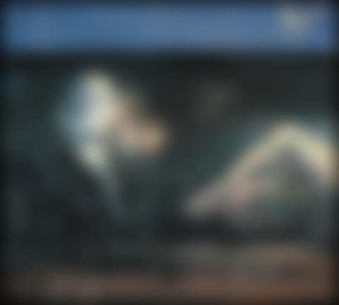 J. Creed (preview)