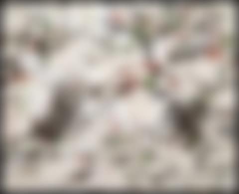 Jardin d"Hiver (preview)