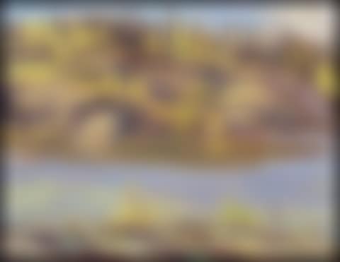 Mitchell Island, Lake Athabaska (Autumn, Northern Saskatchewan) (preview)