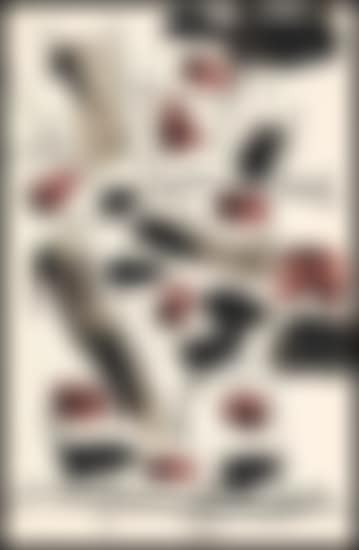 Sans titre (preview)