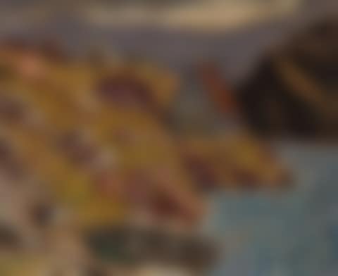 Labrador (preview)