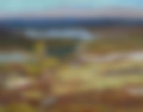Summer Landscape, Labrador (preview)