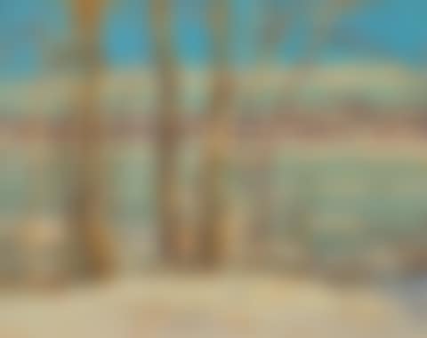 Bon Echo, Ottawa River Spring (preview)