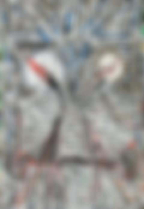 Oie instruite (preview)