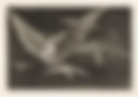 Modo de Volar . (preview)