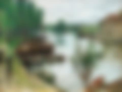 Péniches sur le Loing (preview)