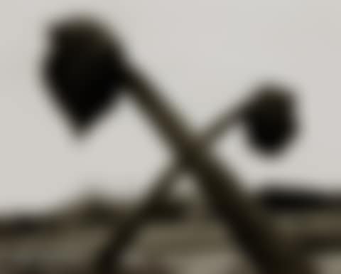 "Dead Palms, Partially Uprooted, Ontario, Calif." (preview)