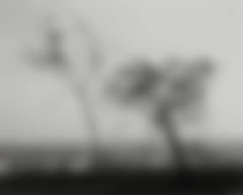 "On Signal Hill, Overlooking Long Beach, California" (preview)
