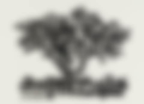 The Bird and its Watcher (preview)
