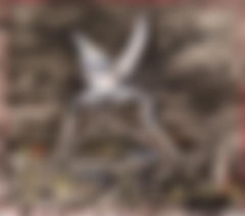 Shears (preview)