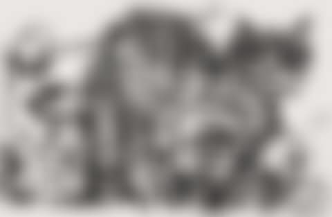 Alley Cat (preview)