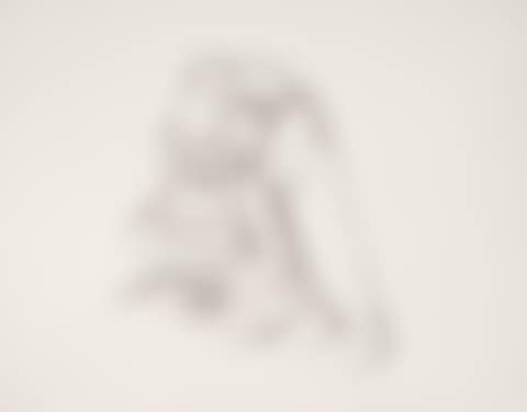 Figure with Raised Leg (preview)