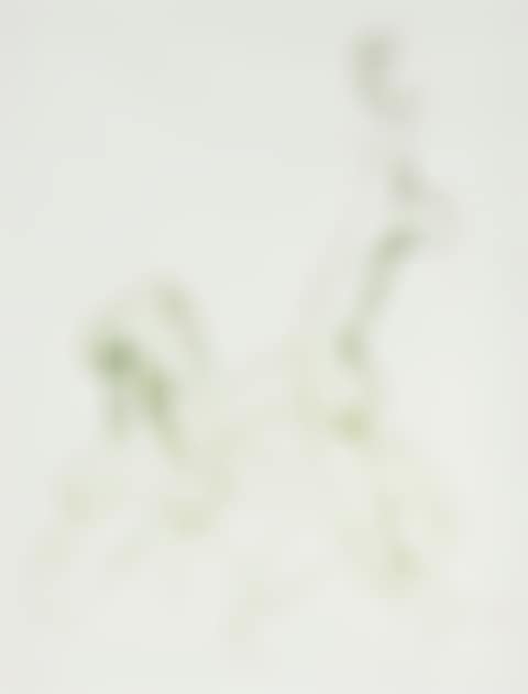 Two Figures (preview)
