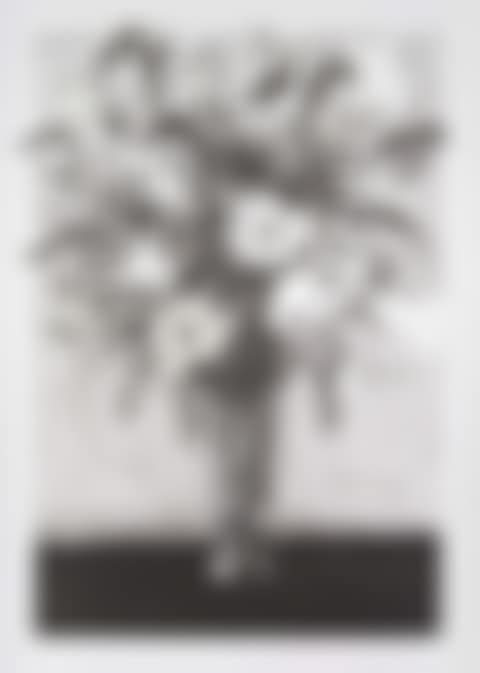 Lilies (preview)