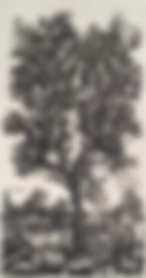 Hope in the Green Leaves (preview)