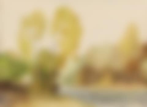 River Banks (preview)