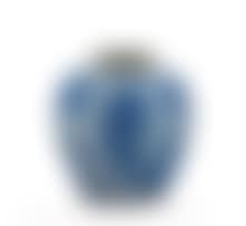 A Chinese blue and white jar (preview)