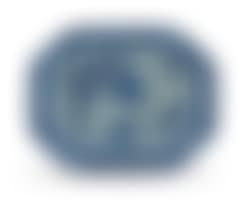 A Chinese Export blue and white dish (preview)