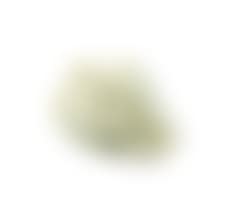 A Chinese pale celadon jade carving of a finger citron (preview)