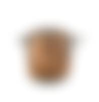 A copper and iron-mounted covered vessel (preview)