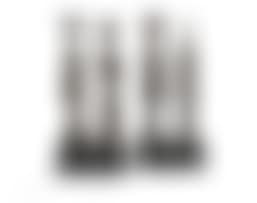 Custodians (Face of Waters, Lady of the Beast, Hearer of Cries, Upon This Rock) (preview)
