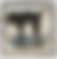 Baboon (preview)