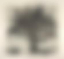 Universal Archive (Big Tree) (preview)