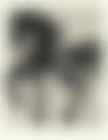 Handspring: Untitled (Deconstructed Horse) (preview)