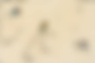 Abstract, Barcelona 1972-73 Series, No. 11 (preview)