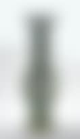 A Chinese famille-verte Yinyin vase (preview)