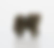 A Chinese olive green jade dog-of-fo (preview)