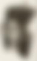 Untitled (Portrait) (preview)