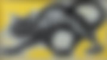 Cat (preview)