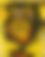 Head, Yellow (preview)
