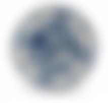 A blue and white ‘Swatow" Zhangzhou dish (preview)
