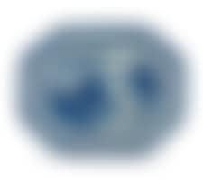 A Chinese blue and white Nanking dish (preview)