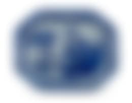 A Chinese blue and white Nanking dish (preview)