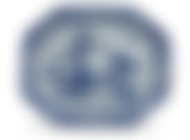 A Chinese blue and white Nanking dish (preview)