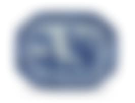 A Chinese blue and white Nanking dish (preview)