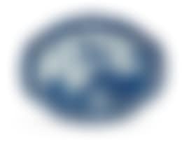 A Chinese Export blue and white Nanking dish (preview)