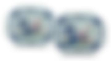 A near pair of Chinese blue and white ‘famille-rose" dishes (preview)