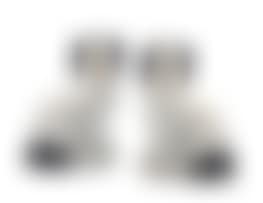 A pair of Staffordshire Disraeli dogs (preview)