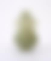 A Chinese jade two-handled vase (preview)