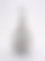 A Chinese ‘grisaille" bottle vase (preview)