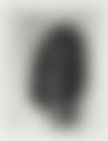 Abstract Figure (preview)