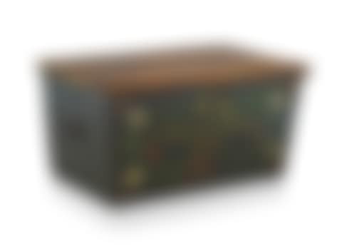 A Cape painted and yellowwood kist (preview)