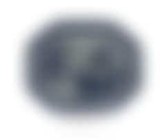 A Chinese blue and white Nanking dish (preview)