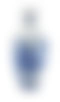 A Chinese blue and white vase (preview)
