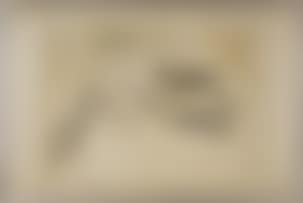 A Chinese ink and colour scroll painting (preview)