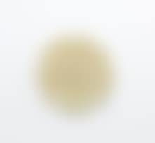 A Chinese celadon jade disc (preview)